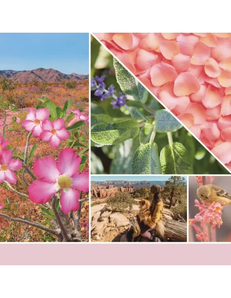 Yankee Candle - Desert Blooms Candela in Giara Grande