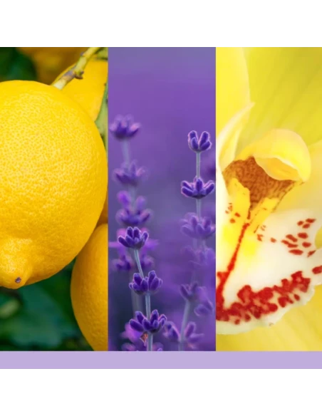 Yankee Candle - Lemon Lavender Medium Jar