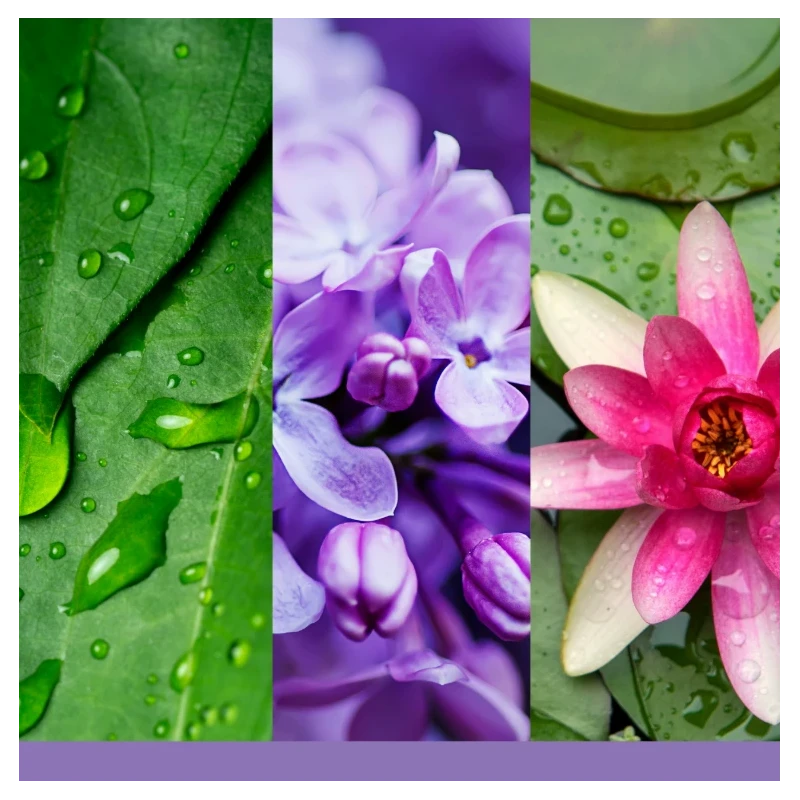 Yankee Candle - Lilac Blossoms Candela in Giara Media