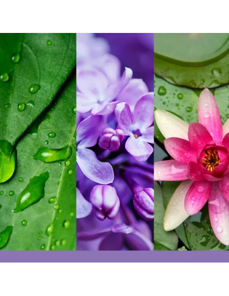 Yankee Candle - Lilac Blossoms Melting Wax