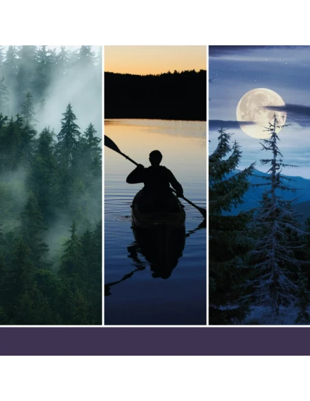 Yankee Candle - Midsummer's Night® - Melting Wax