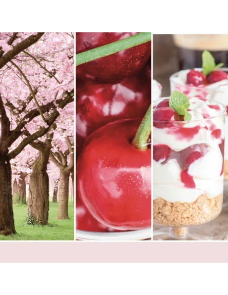 Yankee Candle - Pink Cherry & Vanilla Large Jar Candle