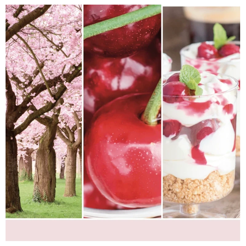 Yankee Candle - Pink Cherry & Vanilla Melting Wax