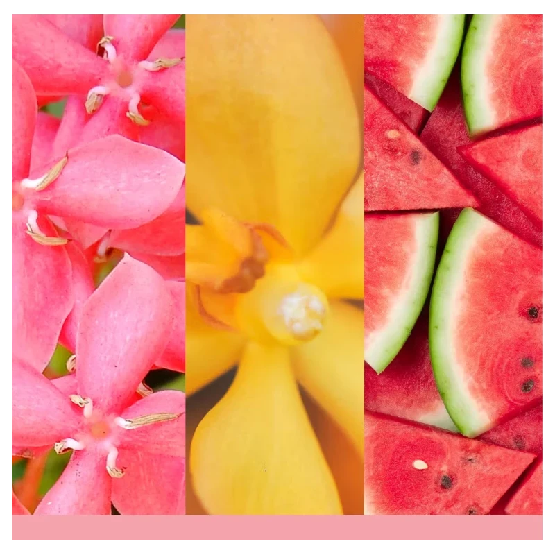 Yankee Candle - Pink Sands - Candela in Giara Grande