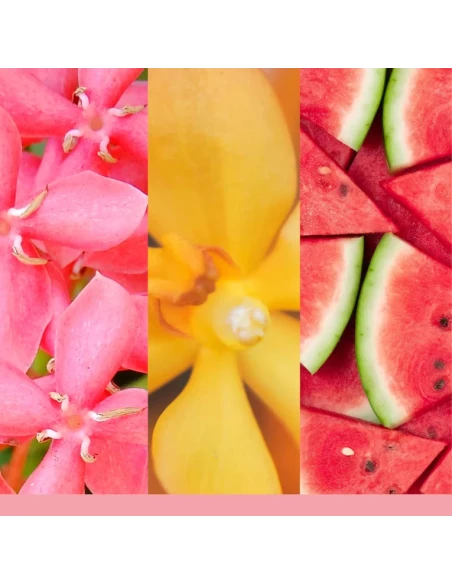 Yankee Candle - Pink Sands - Candela Votiva in Vetro