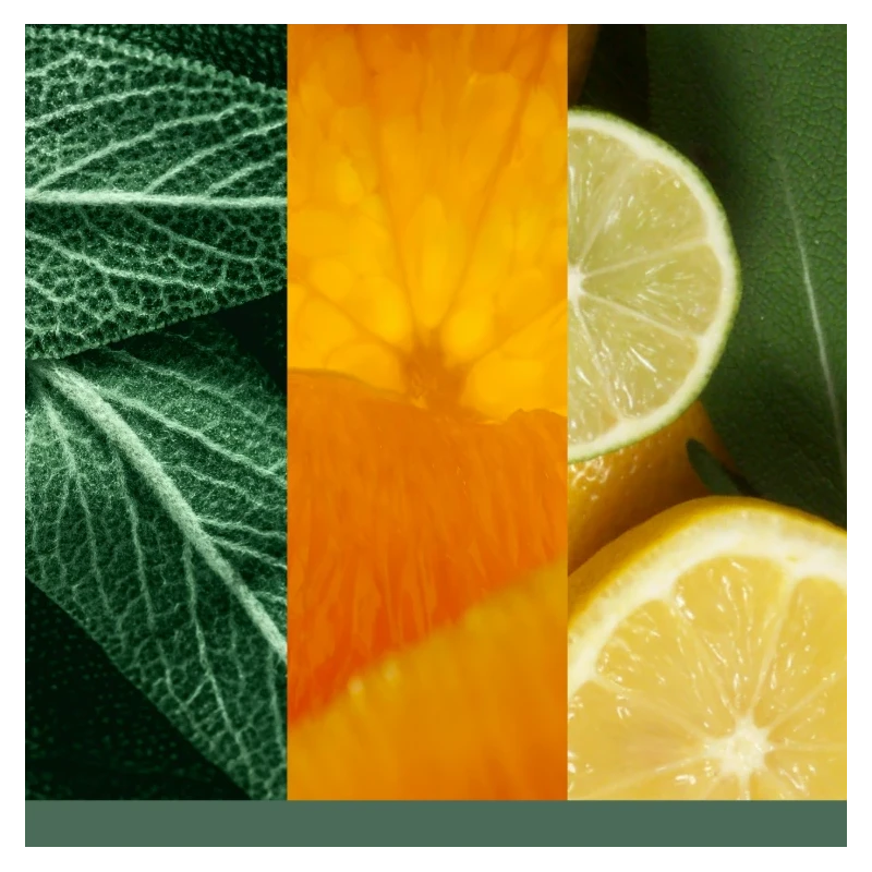 Yankee Candle - Sage & Citrus Large Jar Candle