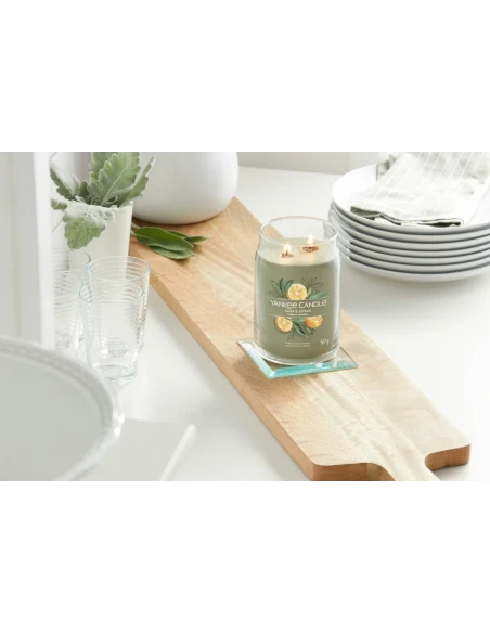 Yankee Candle - Sage & Citrus  Candela in Giara Grande