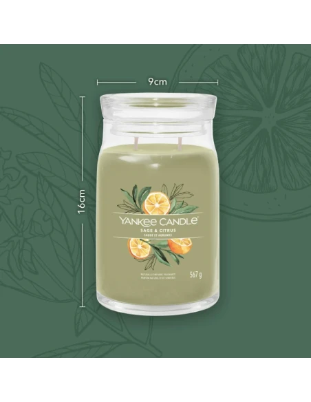 Yankee Candle - Sage & Citrus Large Jar Candle
