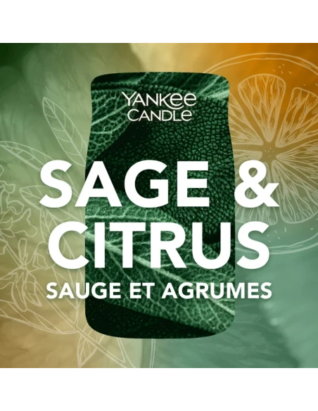 Yankee Candle - Sage & Citrus Large Jar Candle