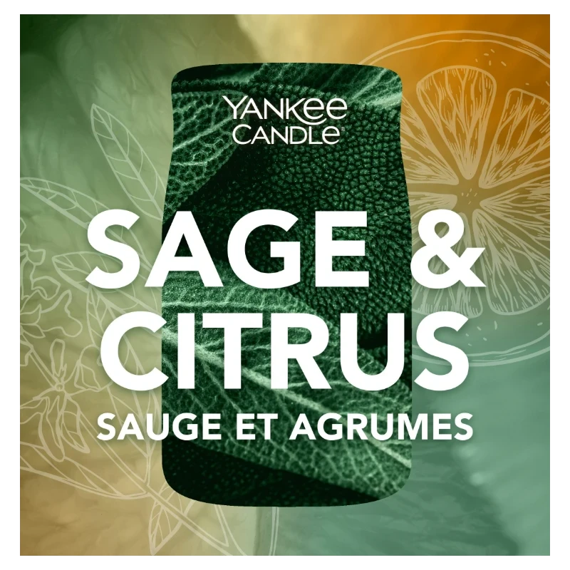 Yankee Candle - Sage & Citrus  Candela in Giara Media