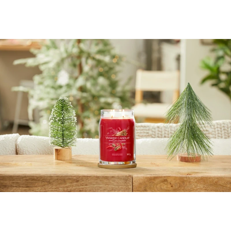 Yankee Candle - Sparkling Cinnamon Large Jar Candle