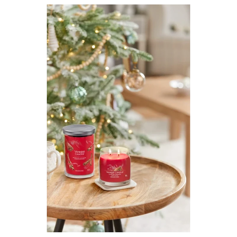 Yankee Candle - Sparkling Cinnamon Medium Jar Candle