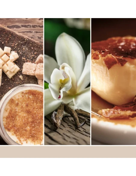Yankee Candle - Vanilla Crème Brûlée Melting Wax