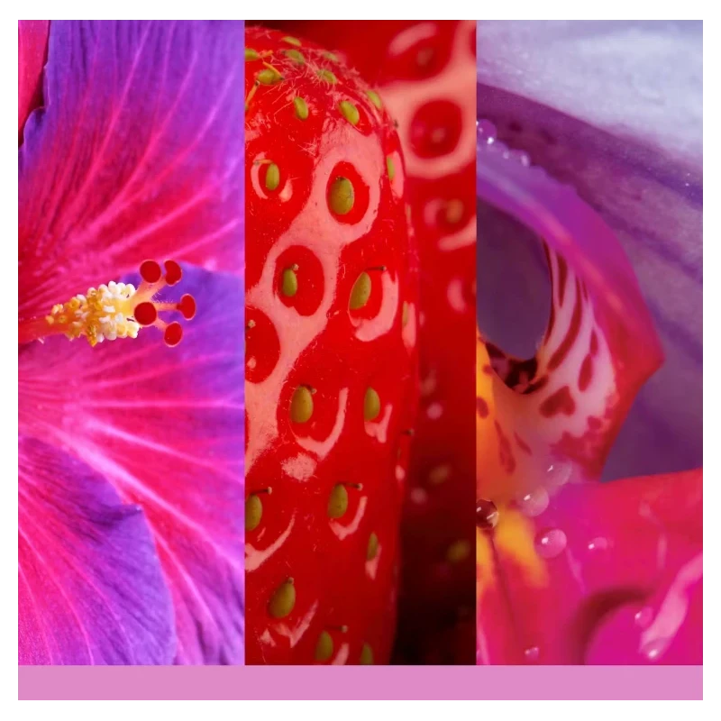 Yankee Candle - Wild Orchid - Candela Votiva in Vetro