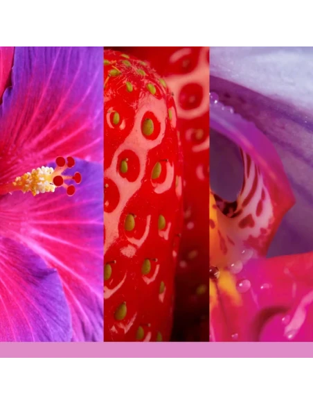 Yankee Candle - Wild Orchid - Candela Votiva in Vetro