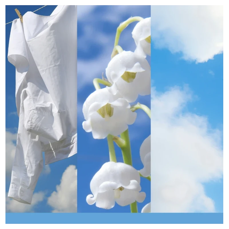 Yankee Candle - Ricarica Diffusore ad Ultrasuoni - Clean Cotton®