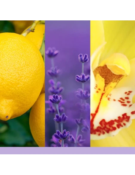 Yankee Candle - Ricarica Diffusore ad Ultrasuoni - Lemon Lavender