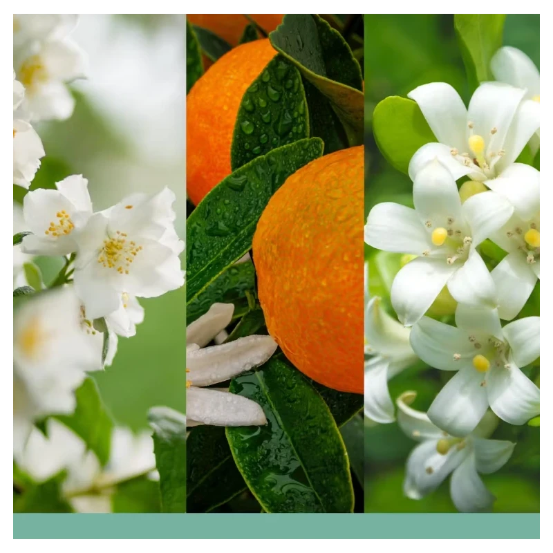 Yankee Candle - Ultrasonic  Diffuser Refill - Midnight Jasmine