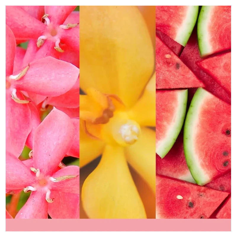 Yankee Candle - Ultrasonic  Diffuser Refill - Pink Sands