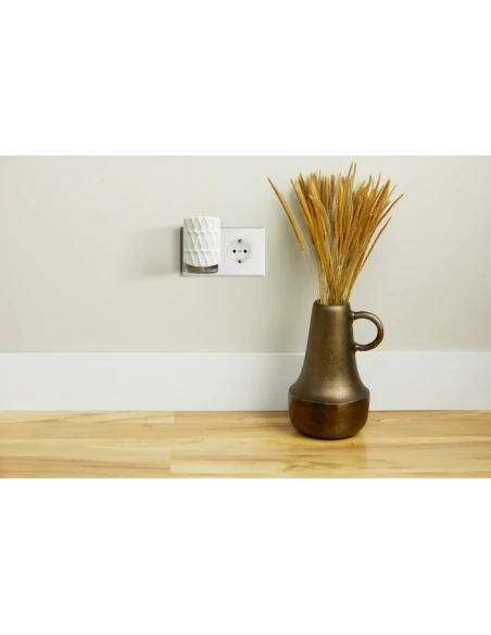 Yankee Candle - Kit Base Scentplug Organic - Black Cherry