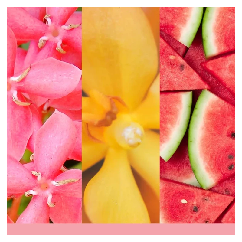 Yankee Candle - Kit Base Scentplug  Organic - Pink Sands