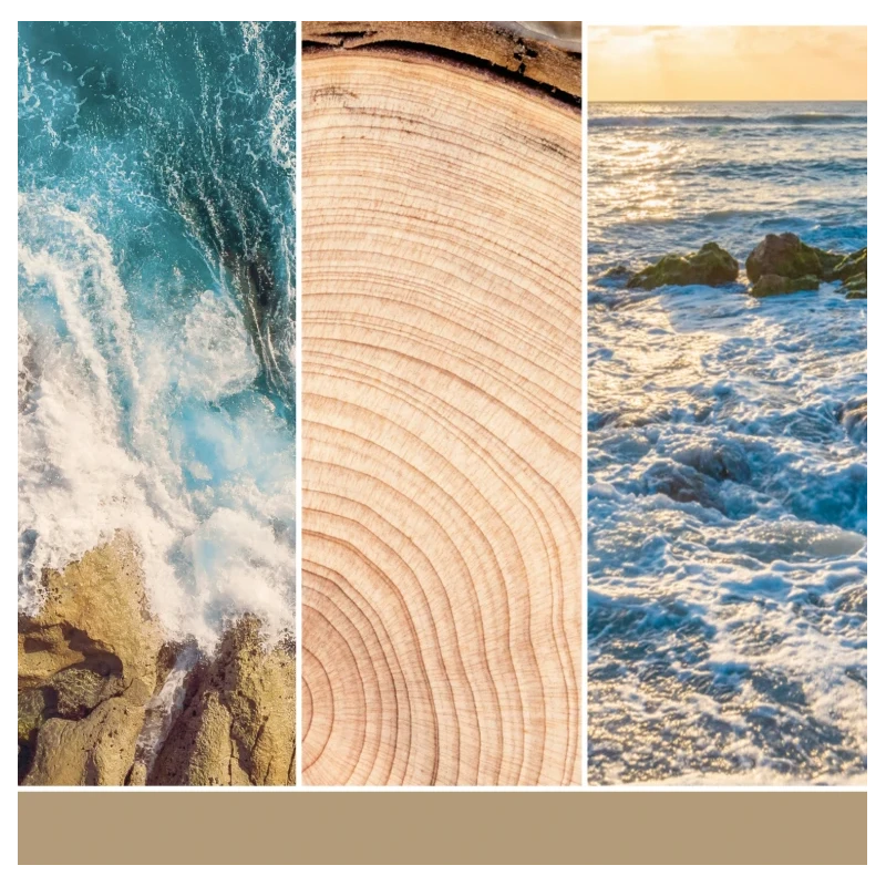 Yankee Candle - Ricarica per Diffusore Elettrico Scentplug - Amber & Sandalwood