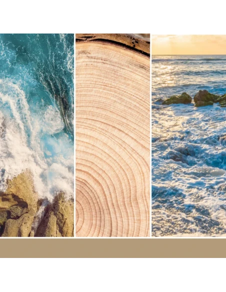 Yankee Candle - Scentplug Electric Diffuser Refill - Amber & Sandalwood