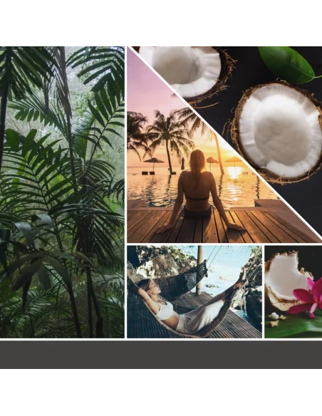 Yankee Candle - Scentplug Electric Diffuser Refill - Black Coconut