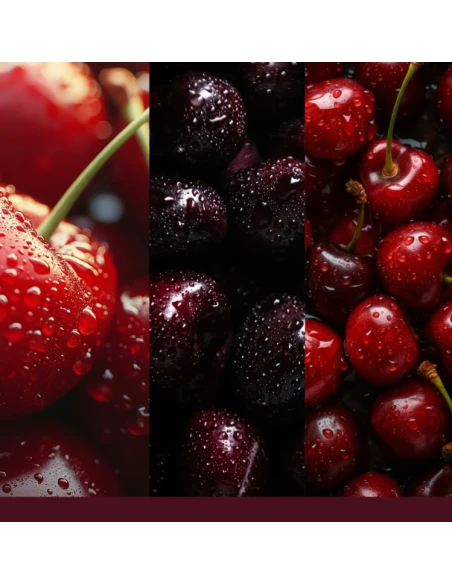 Yankee Candle - Scentplug Electric Diffuser Refill - Black Cherry