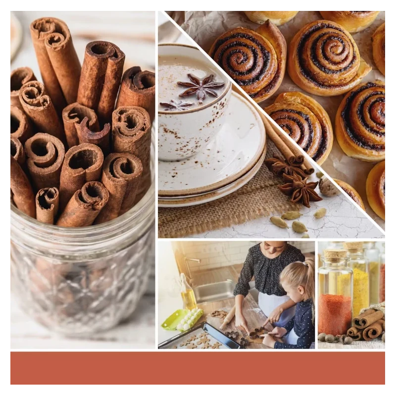 Yankee Candle - Scentplug Electric Diffuser Refill - Cinnamon Stick