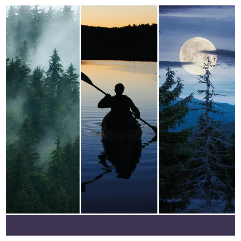 Yankee Candle - Scentplug Electric Diffuser Refill - Midsummer’s Night®