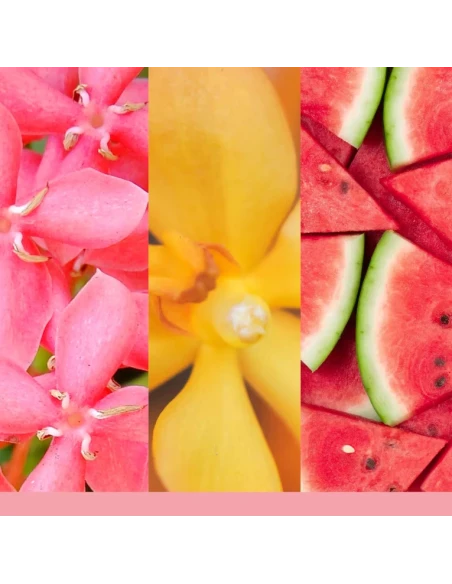 Yankee Candle - Ricarica per Diffusore Elettrico Scentplug - Pink Sands