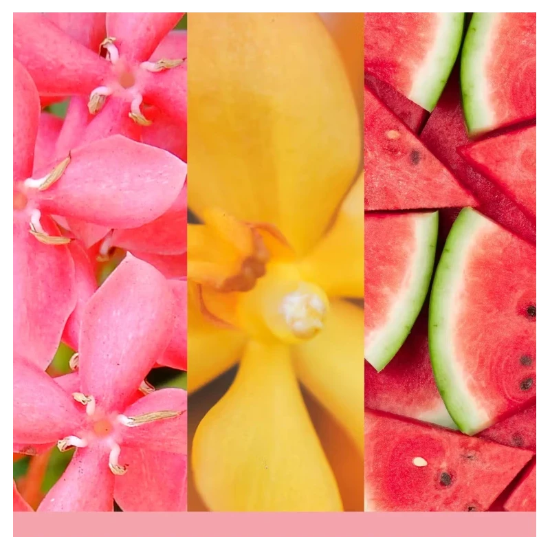 Yankee Candle - Diffusore a Bastoncini - Pink Sands