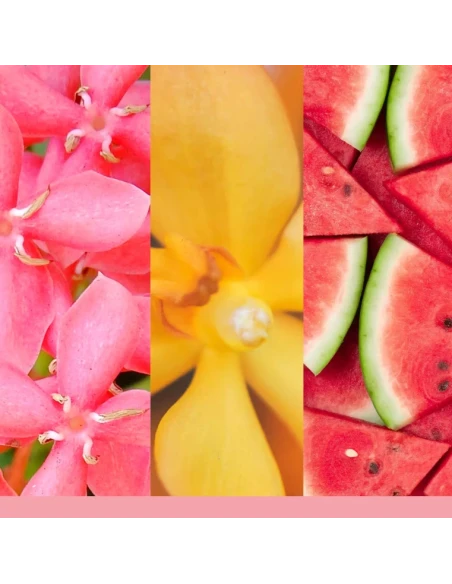 Yankee Candle - Diffusore a Bastoncini - Pink Sands