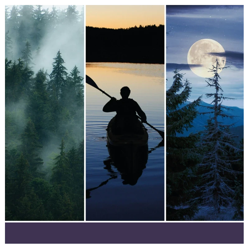 Yankee Candle - Reed Diffuser -  Midsummer's Night®