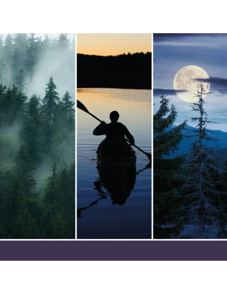 Yankee Candle - Reed Diffuser -  Midsummer's Night®