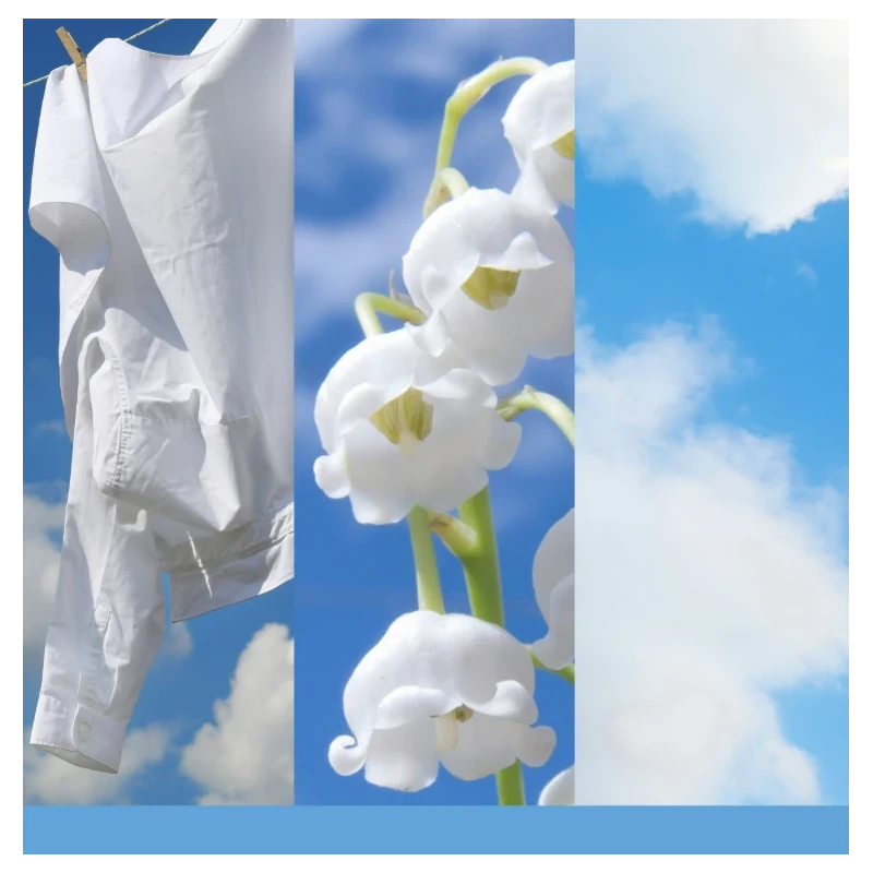 Yankee Candle - Reed Diffuser Refill - Clean Cotton®