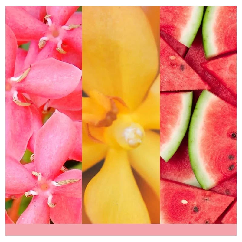 Yankee Candle - Reed Diffuser Refill - Pink Sands