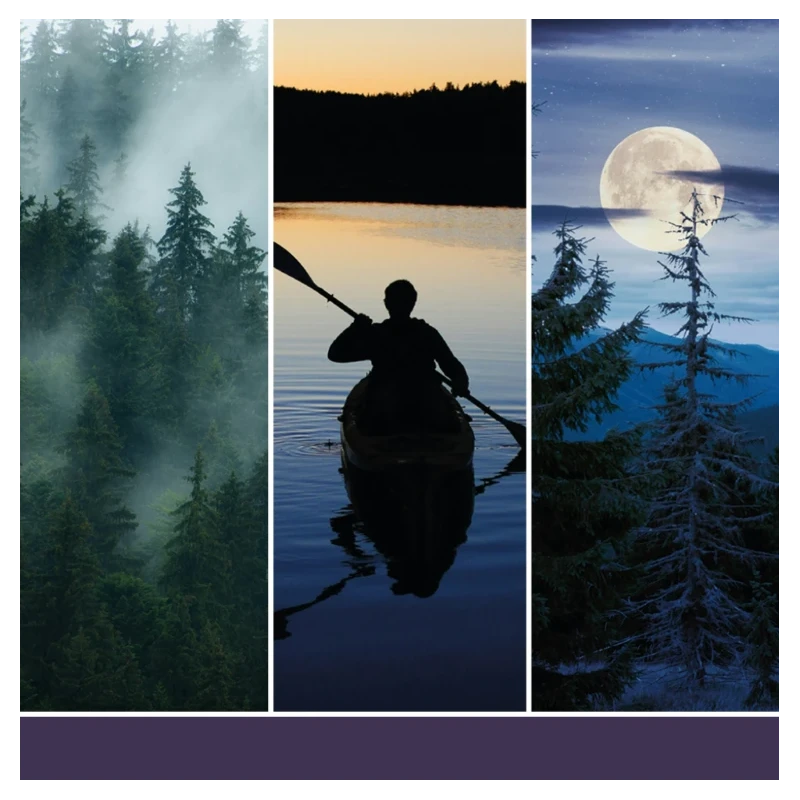 Yankee Candle - Ricarica per Diffusore a Bastoncini - Midsummer's Night®