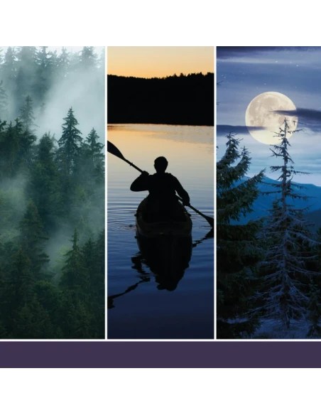 Yankee Candle - Ricarica per Diffusore a Bastoncini - Midsummer's Night®