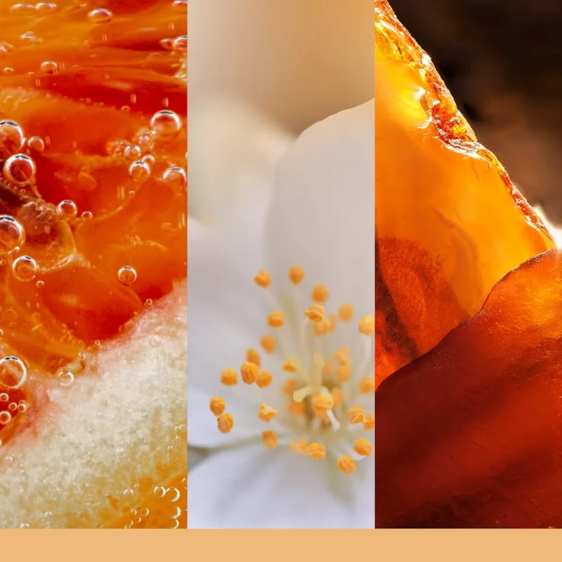 Yankee Candle - Glistening Leaves - Large Jar Candle