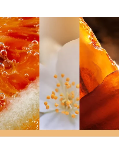 Yankee Candle - Glistening Leaves - Medium Jar Candle