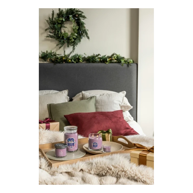 Yankee Candle - Summit Stargazing - Medium Jar Candle