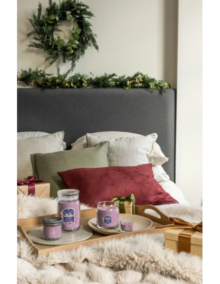 Yankee Candle - Summit Stargazing - Medium Jar Candle