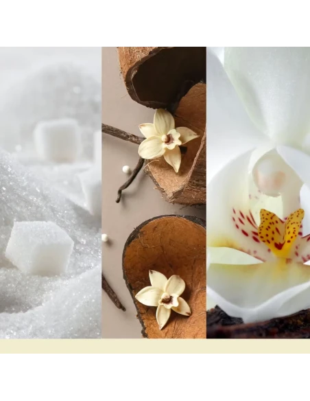 Yankee Candle - Vanilla Flurries - Candela in Giara Media