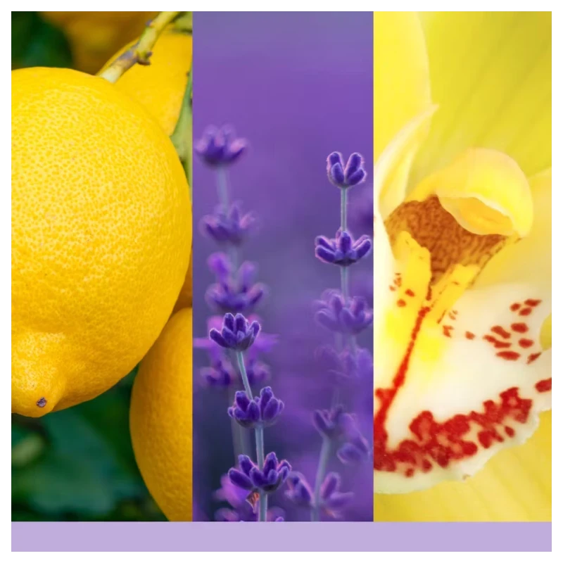 Yankee Candle - Lemon Lavender - Small Tumbler Candle