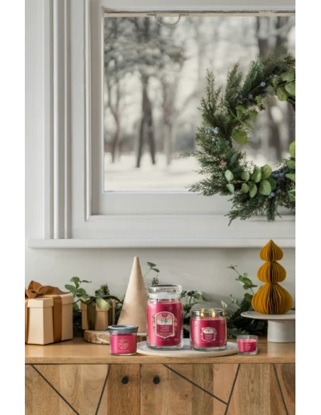 Yankee Candle - Santa on Skis - Small Tumbler Candle