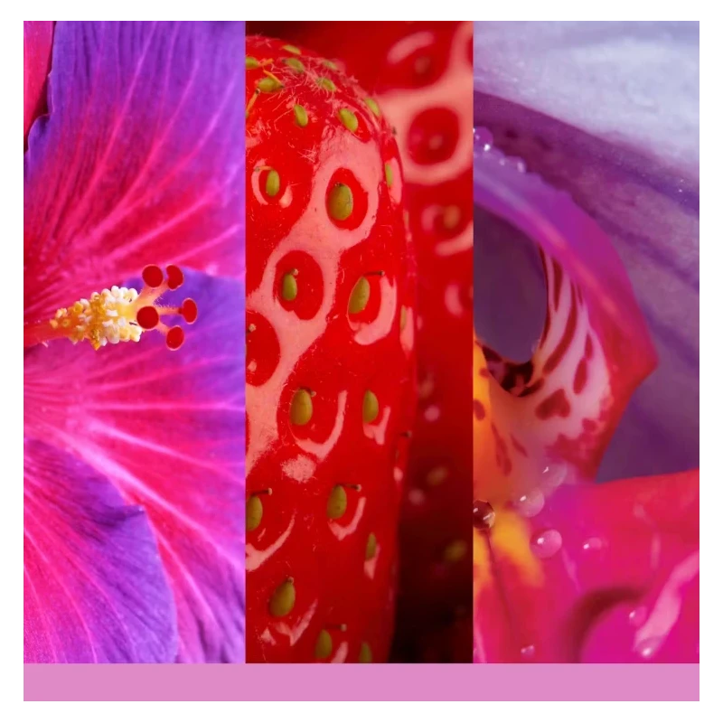 Yankee Candle - Wild Orchid - Candela Tumbler Piccola