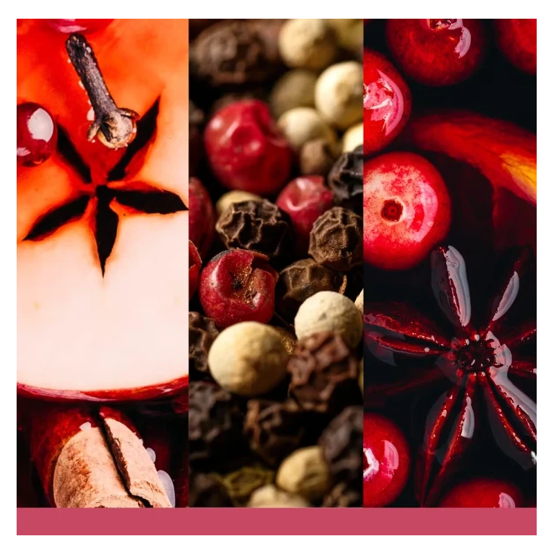 Yankee Candle - Santa on Skis - Candela in Giara Grande