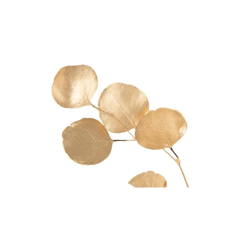 J-Line - Eucalipto Fiore Secco - Oro